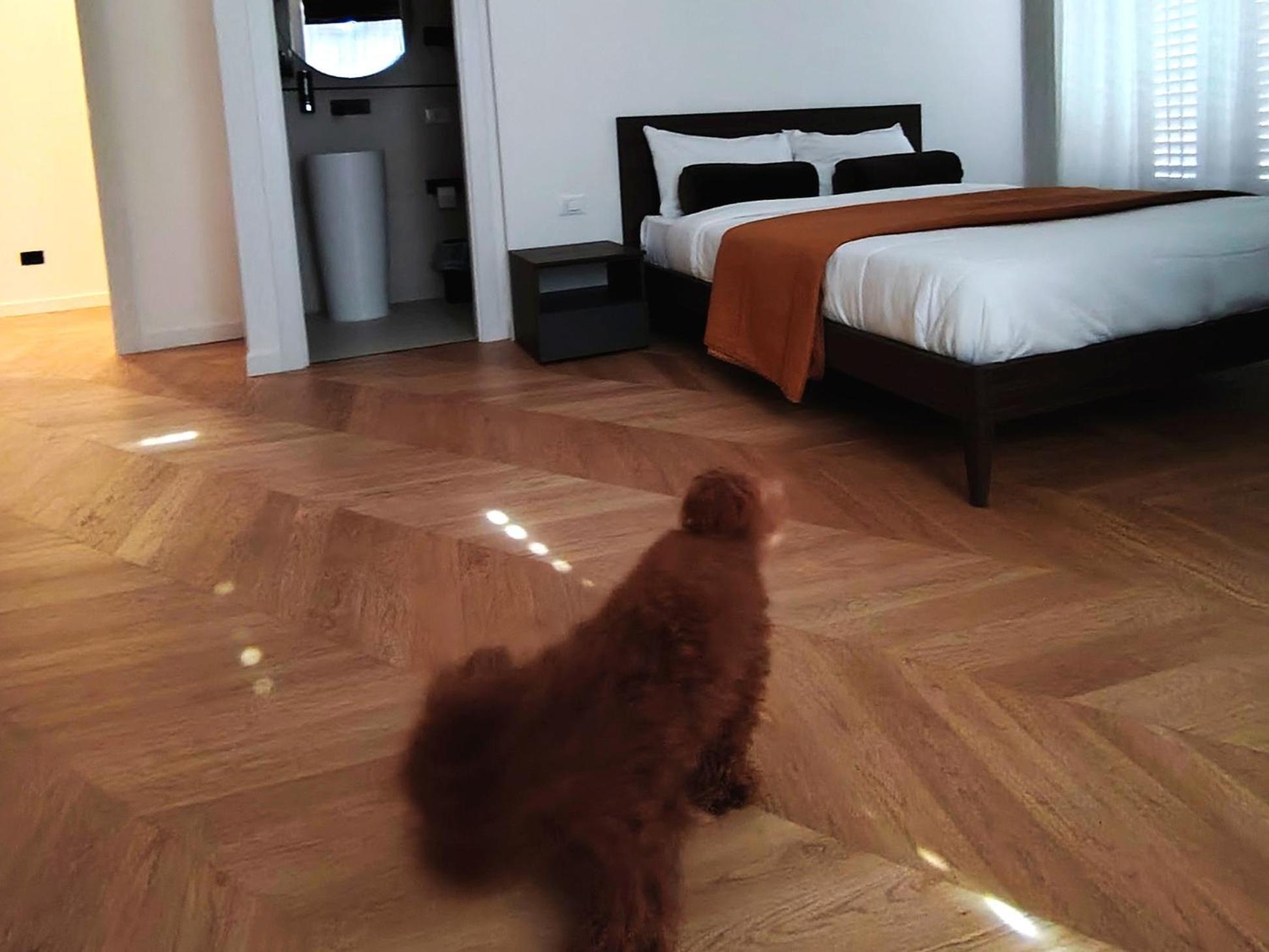 Casa O'Tama Διαμέρισμα Παλέρμο Εξωτερικό φωτογραφία